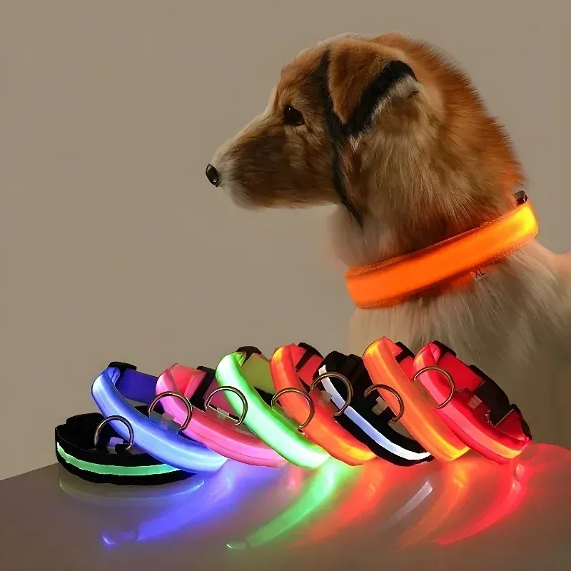 Hundehalsband Nylon LED Nacht Sicherheit Blinkend Glow In The Dark Haustier Hundeleine Haustier Hunde Leuchtendes fluoreszierendes Hundezubehör Halsband