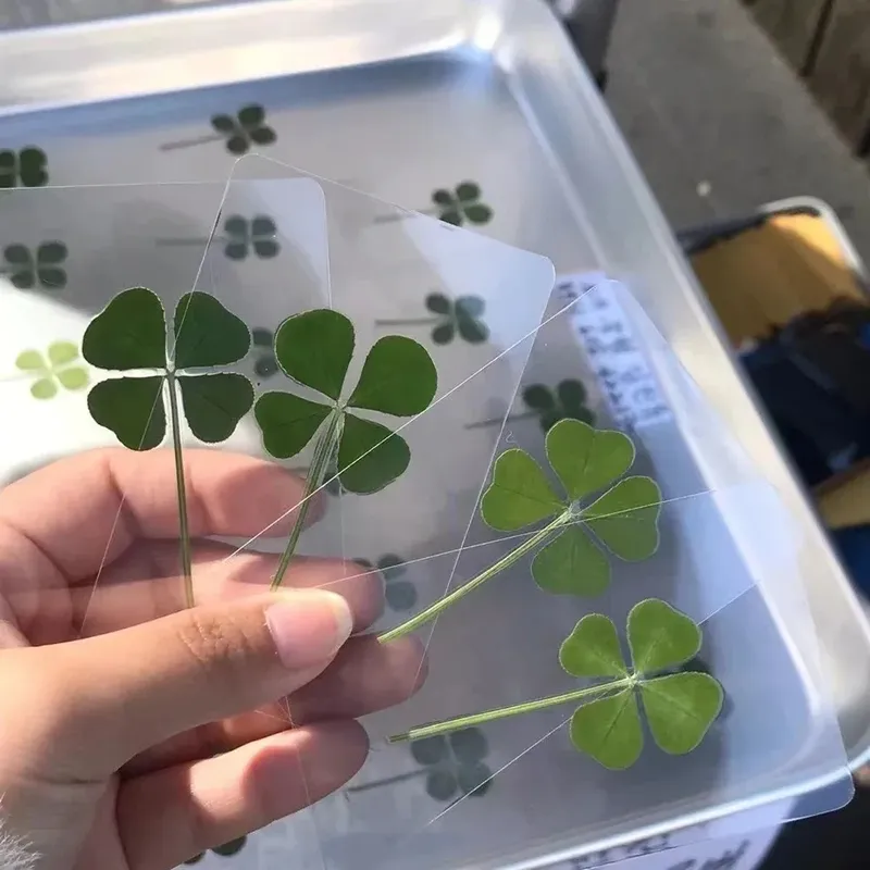 5 Stück Lucky Clover-Postkarten, transparente Wunschkarten, ideal für Lesezeichen und Dekorationen, perfekte Weihnachtsgeschenke