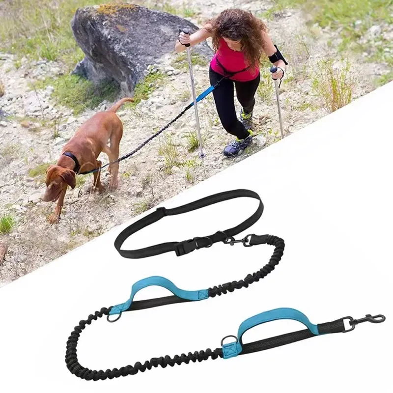 Outdoor Pet Dual Elastic Traktionsseil Reflektierendes Laufen bei Nacht Dehnbarer Freisprech-Hund Dual-Griff Elastisches Seil