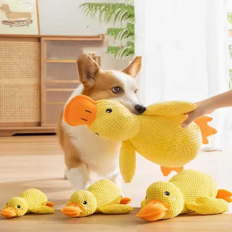 Hund schlafen mit einem Hund umarmt Entenspielzeug, um Langeweile kleiner gelber Enten zu lindern. Interaktive Plüschpuppen-Haustierbedarf